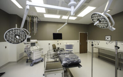 What Makes a Great About Page for Medical Practices